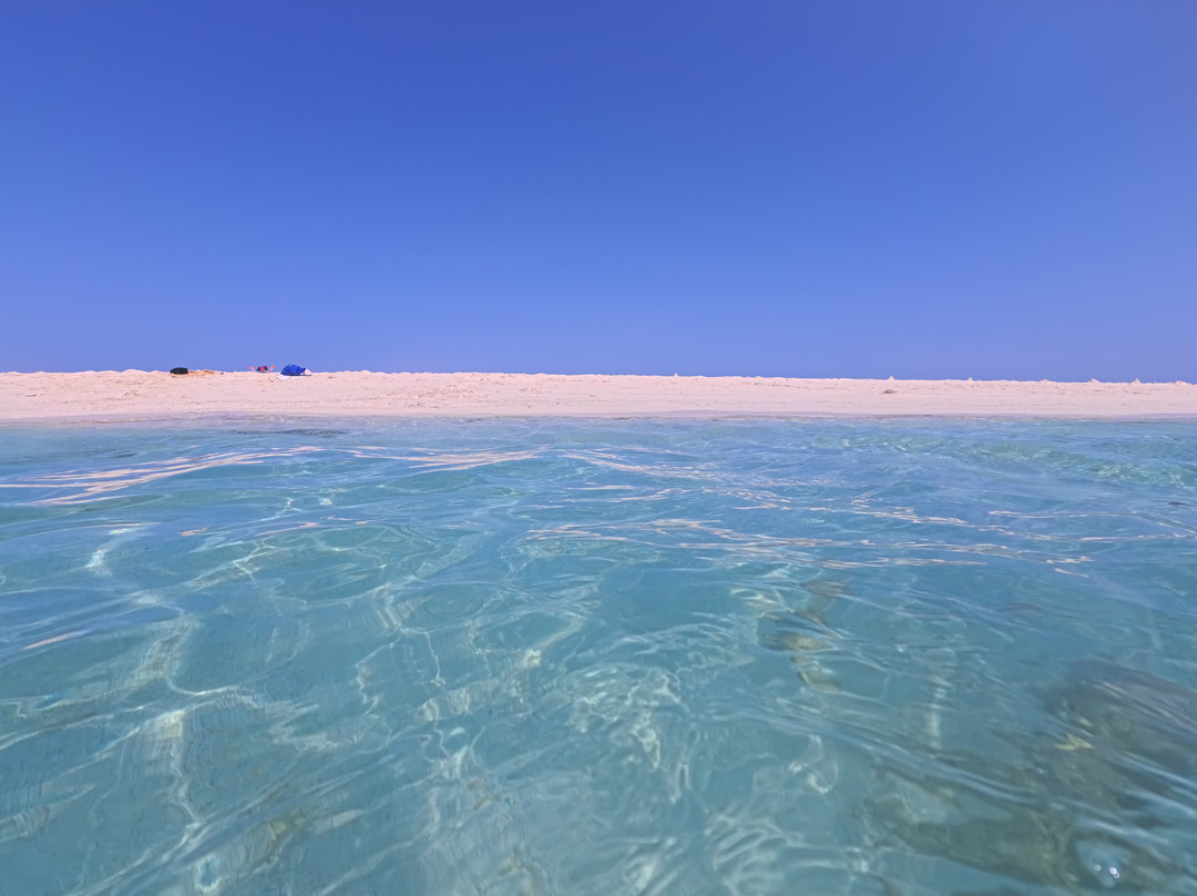 Wadi El Gemal National Park-马萨阿拉姆必去景点
