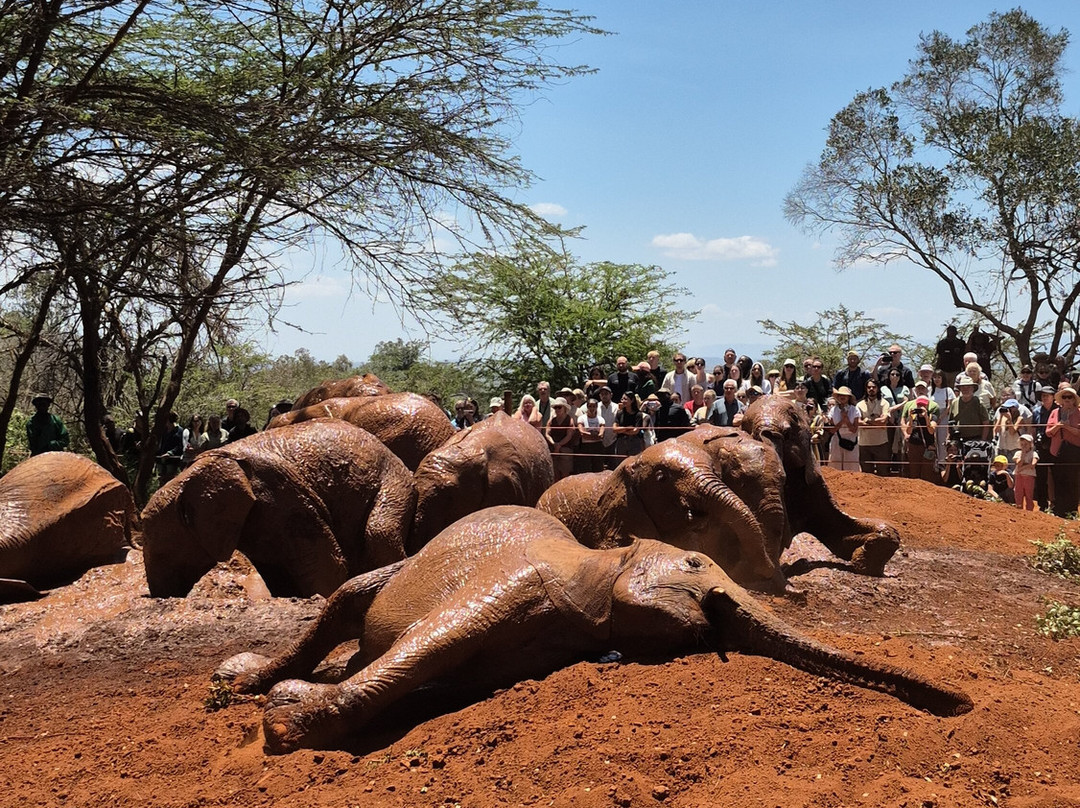 On Adventure Africa-Kajiado必去景点