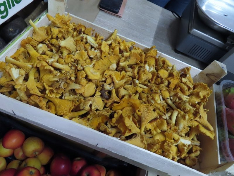 Frutta e verdura Pol Attilio-Selva di Cadore必去景点