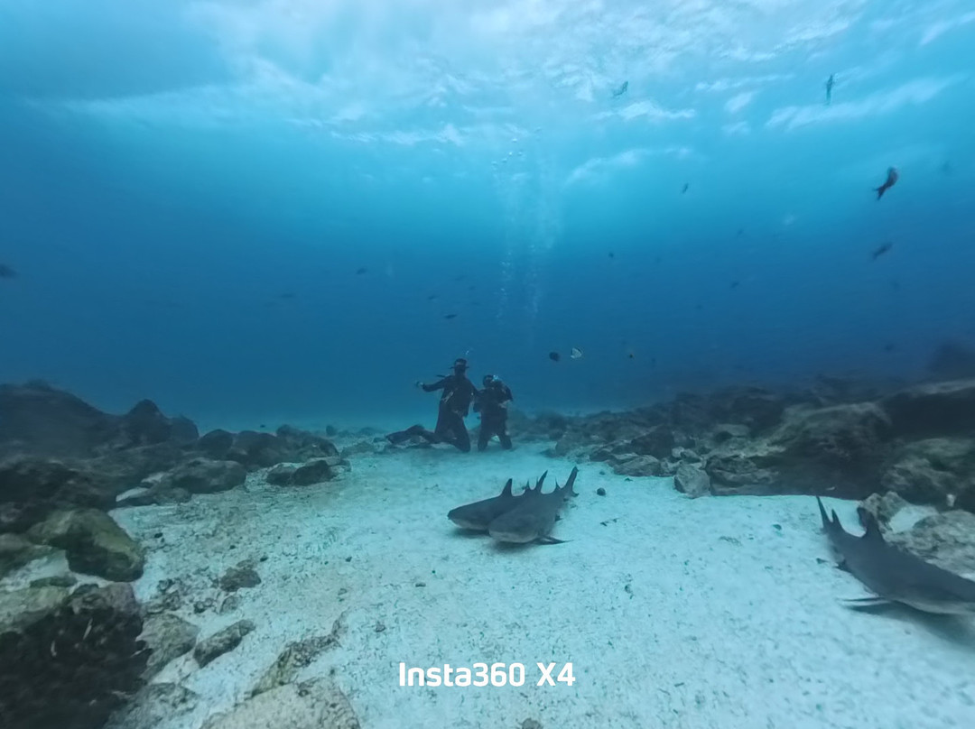 Go Galápagos Tours-Baltra必去景点