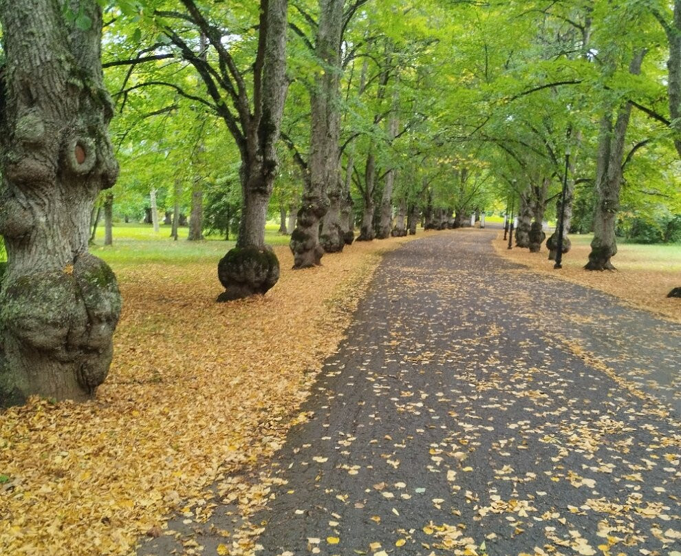 Oru Park-Toila必去景点