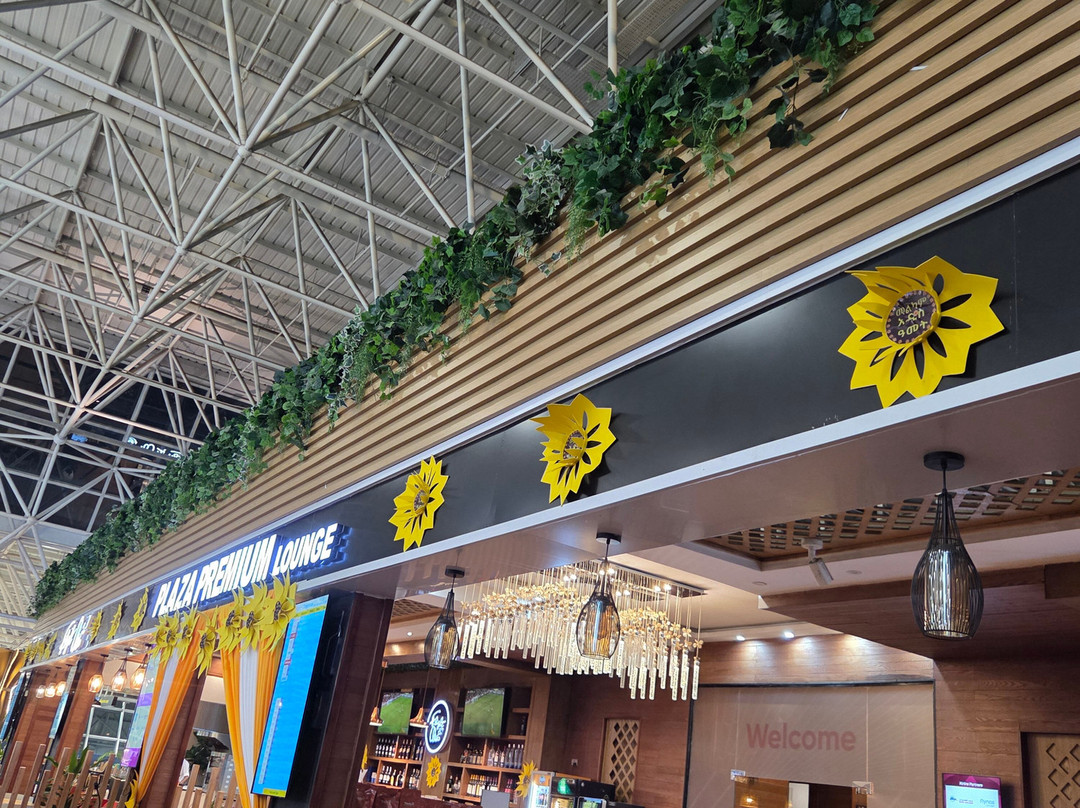 Plaza Premium Lounge - Addis Ababa Bole International Airport-亚的斯亚贝巴必去景点