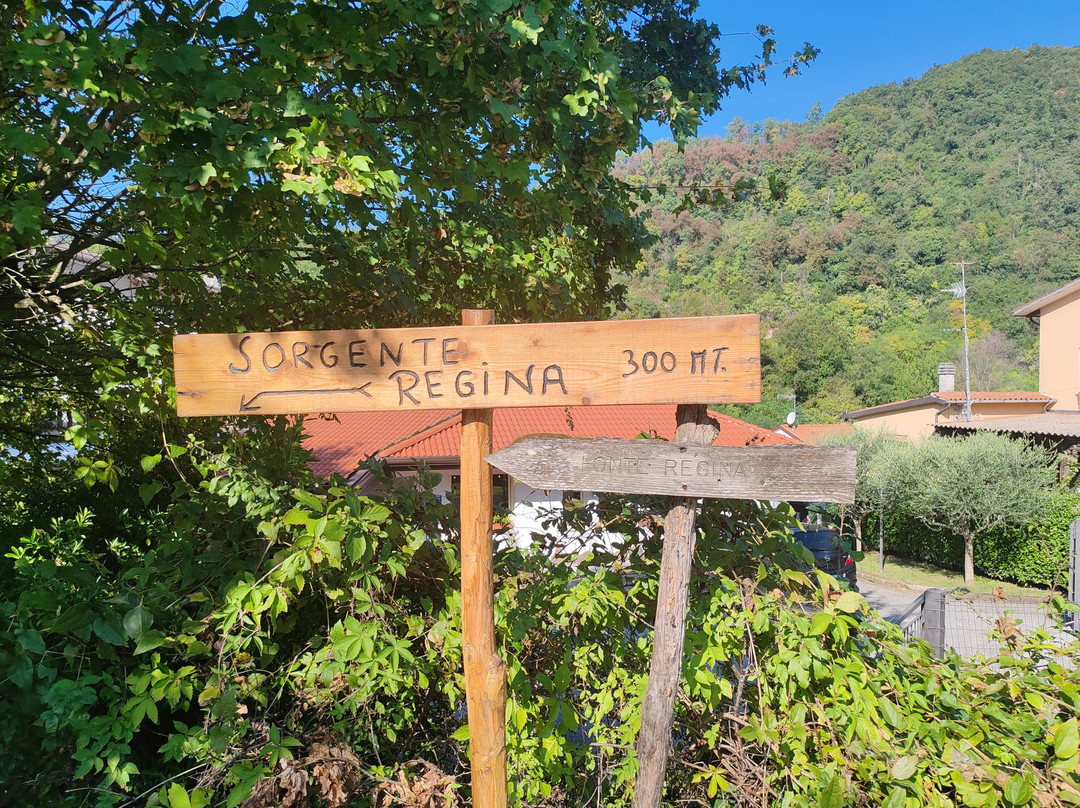 Fonte Regina