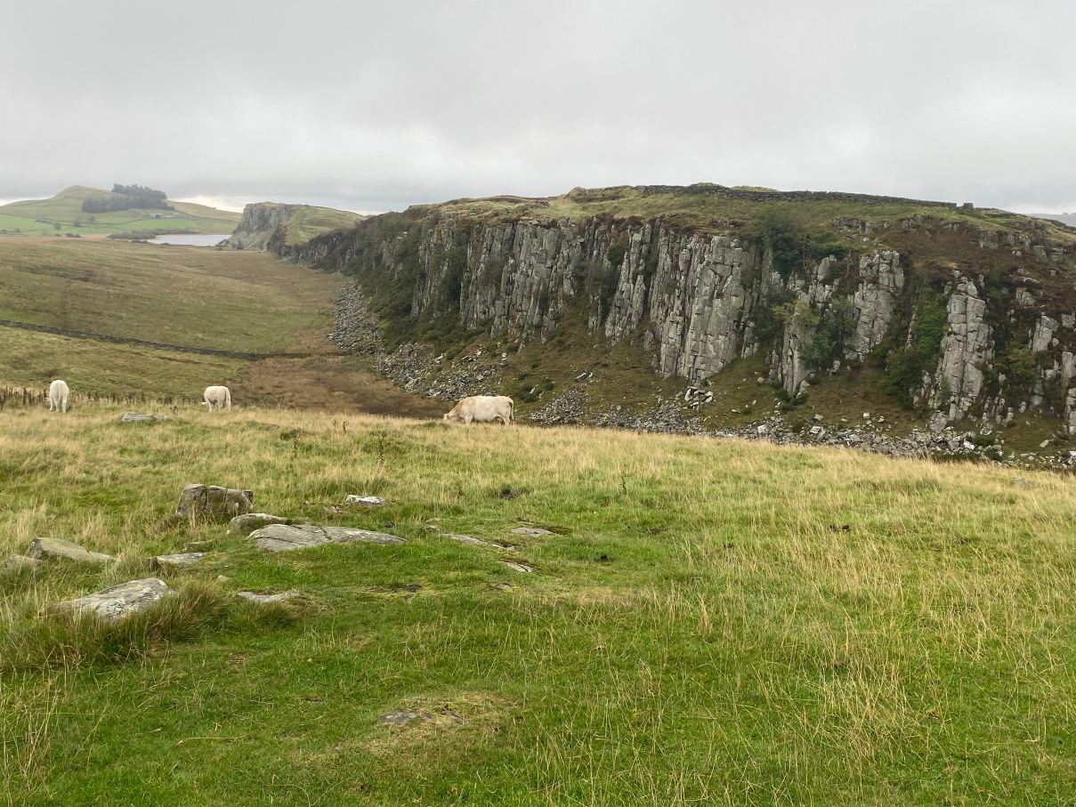Saughy Rigg Farm-旅行者