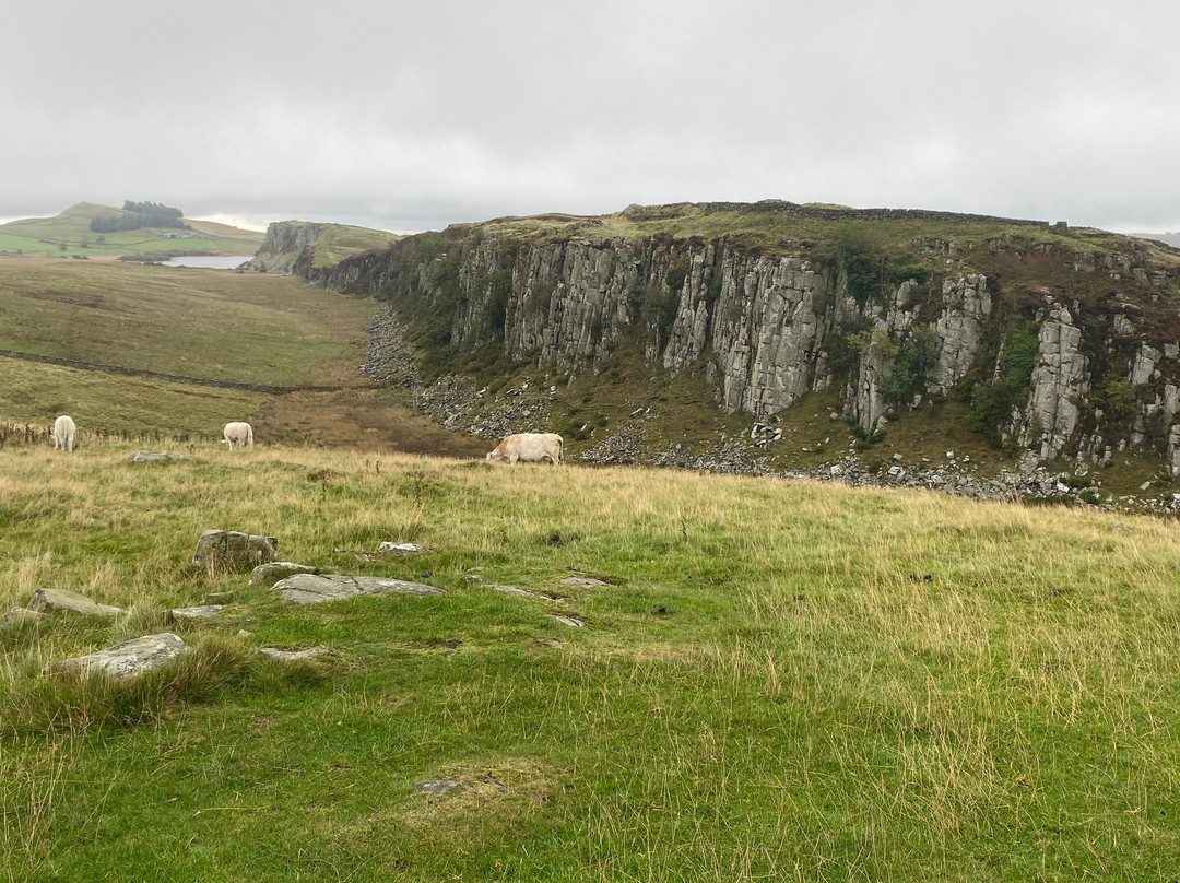 Saughy Rigg Farm主图