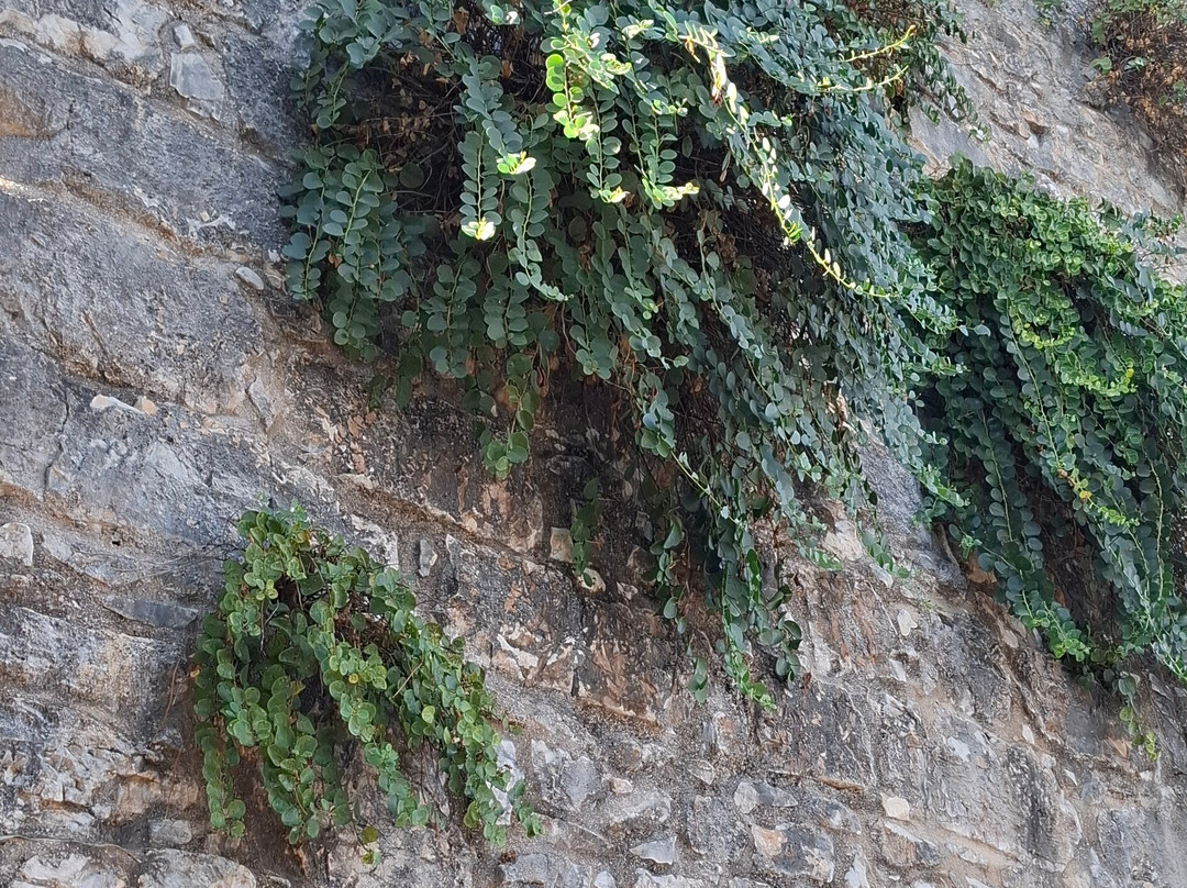 Kassiopi Castle-Kassiopi必去景点