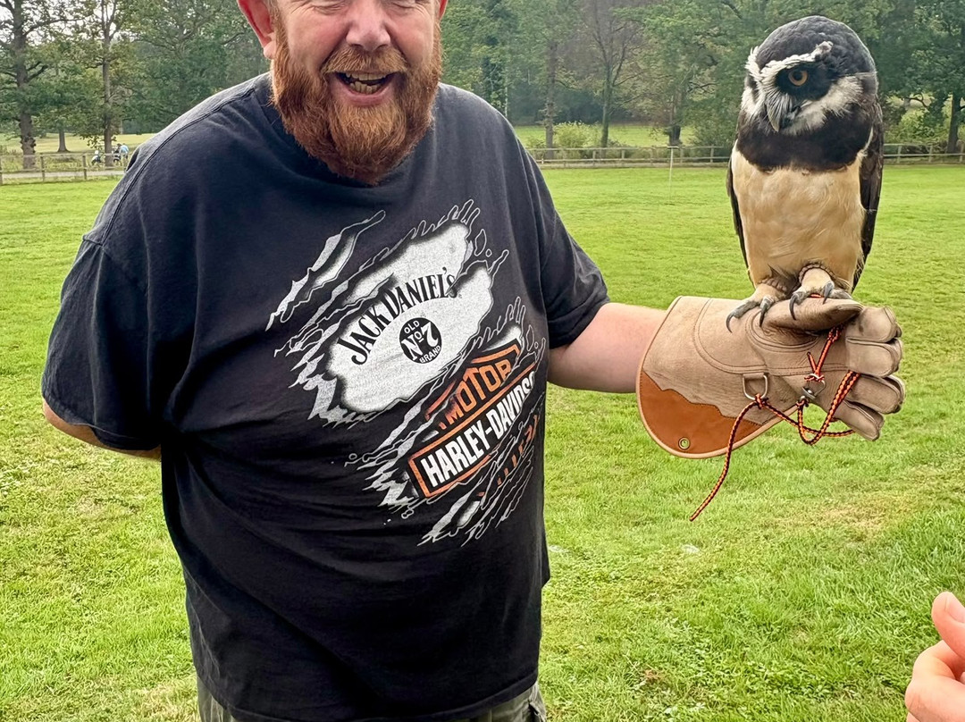 Surrey Hills Falconry-Ockley必去景点