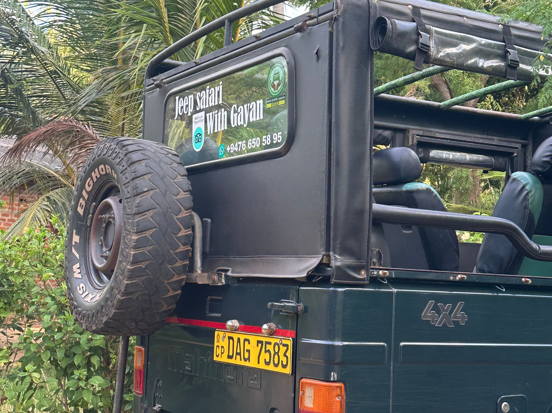 Jeep Safari With Gayan-锡吉里亚必去景点