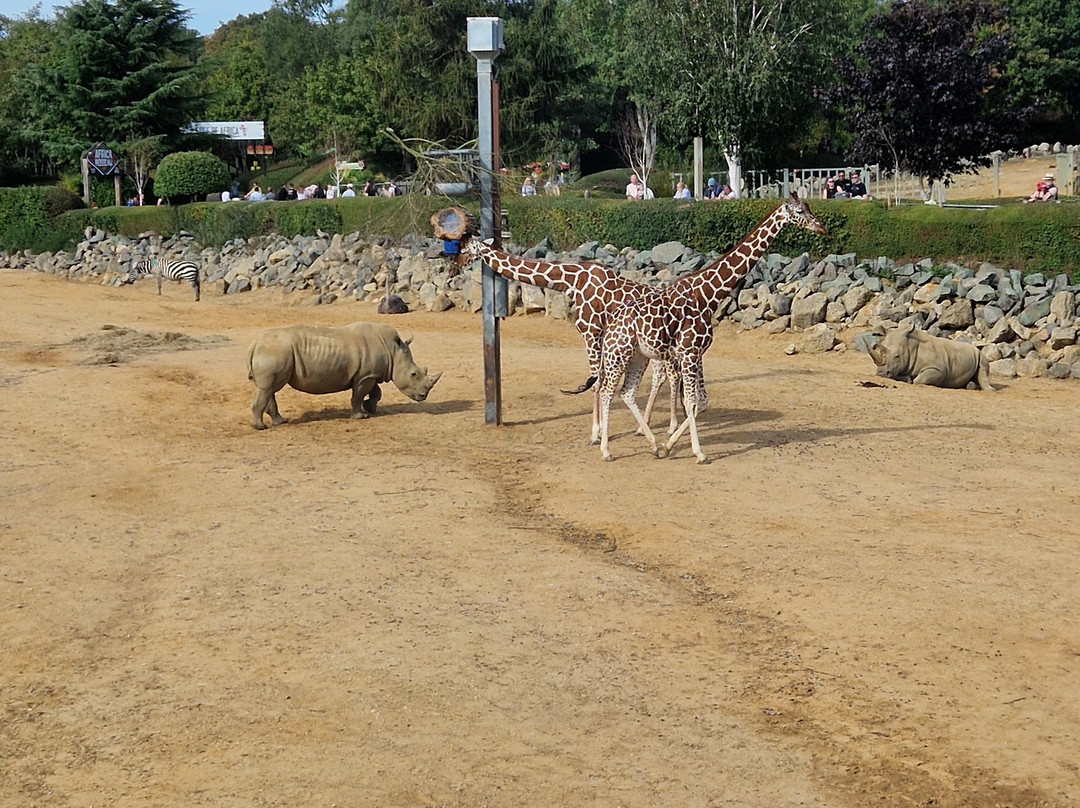 Colchester Zoo-科尔切斯特必去景点