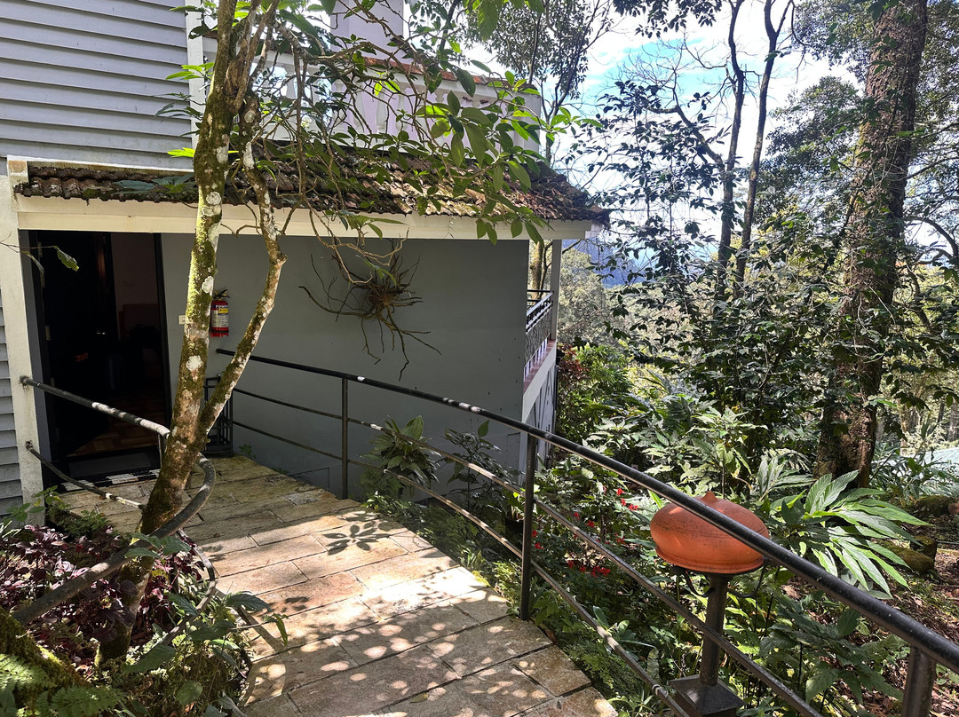 蒙纳大树酒店主图