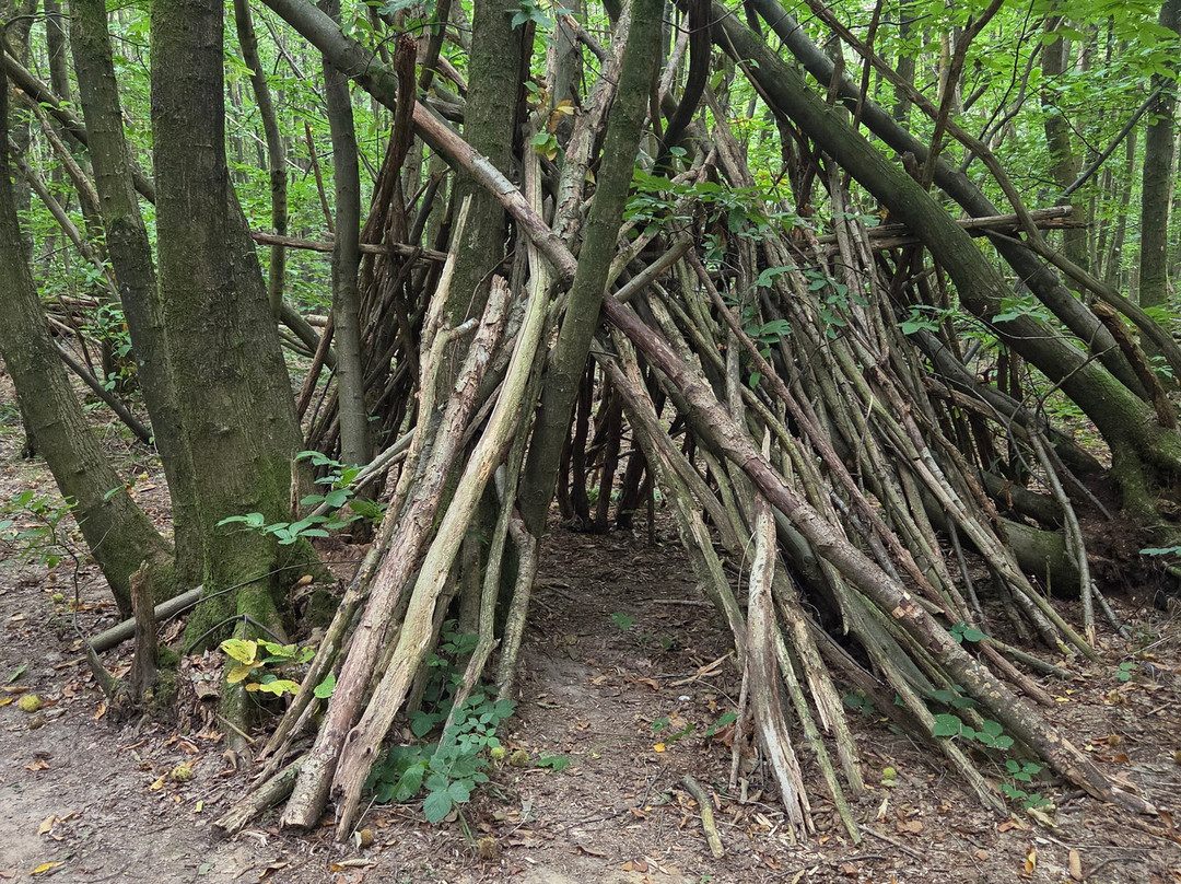 King's Wood-Challock必去景点