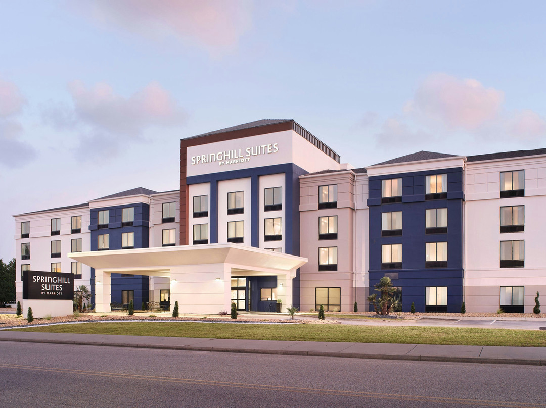 佛罗伦萨酒店住宿-SpringHill Suites Florence