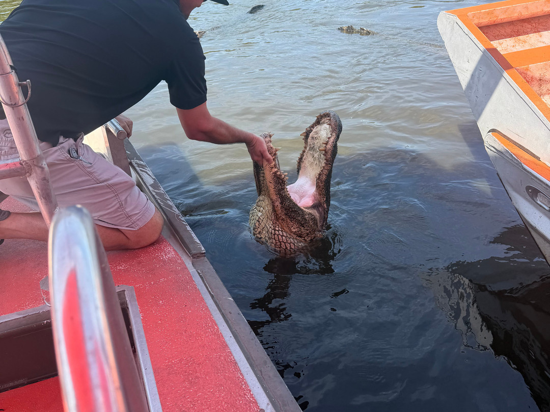 Atchafalaya Basin Landing & Airboat Swamp Tours-布里奥克斯桥必去景点