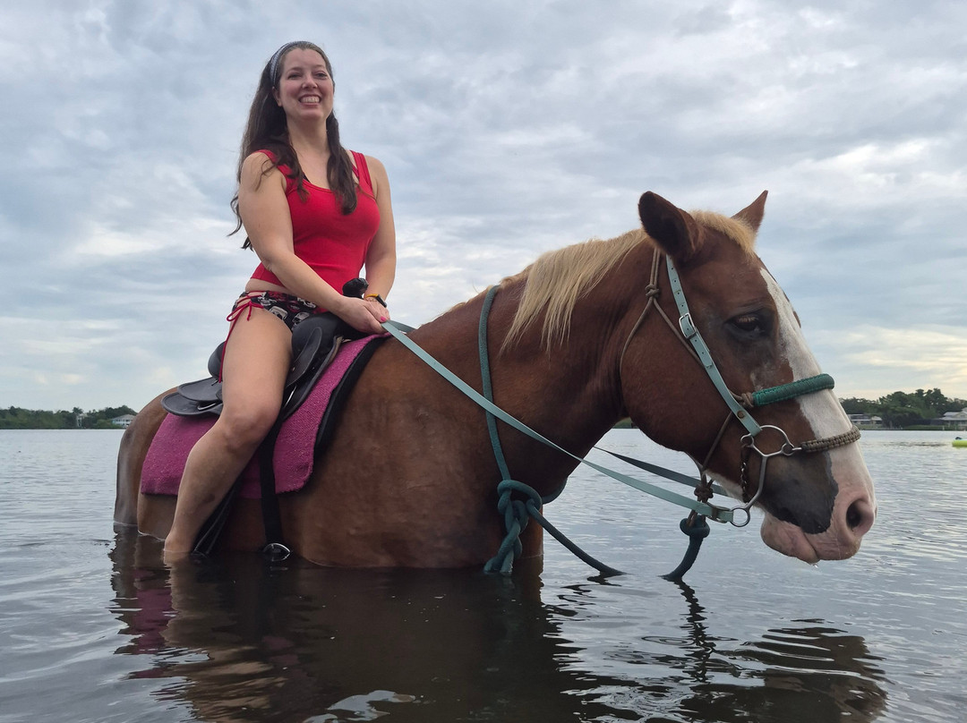 Florida Beach Horses-布雷登顿必去景点