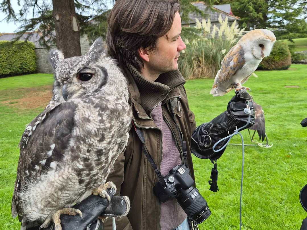 Newgrange Falconry-Julianstown必去景点
