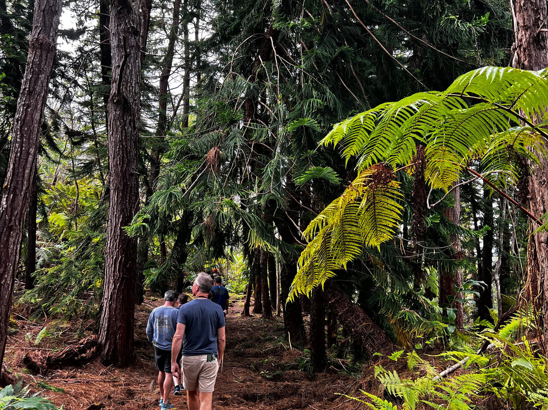 Kona Cloud Forest Sanctuary-凯鲁瓦-柯纳必去景点