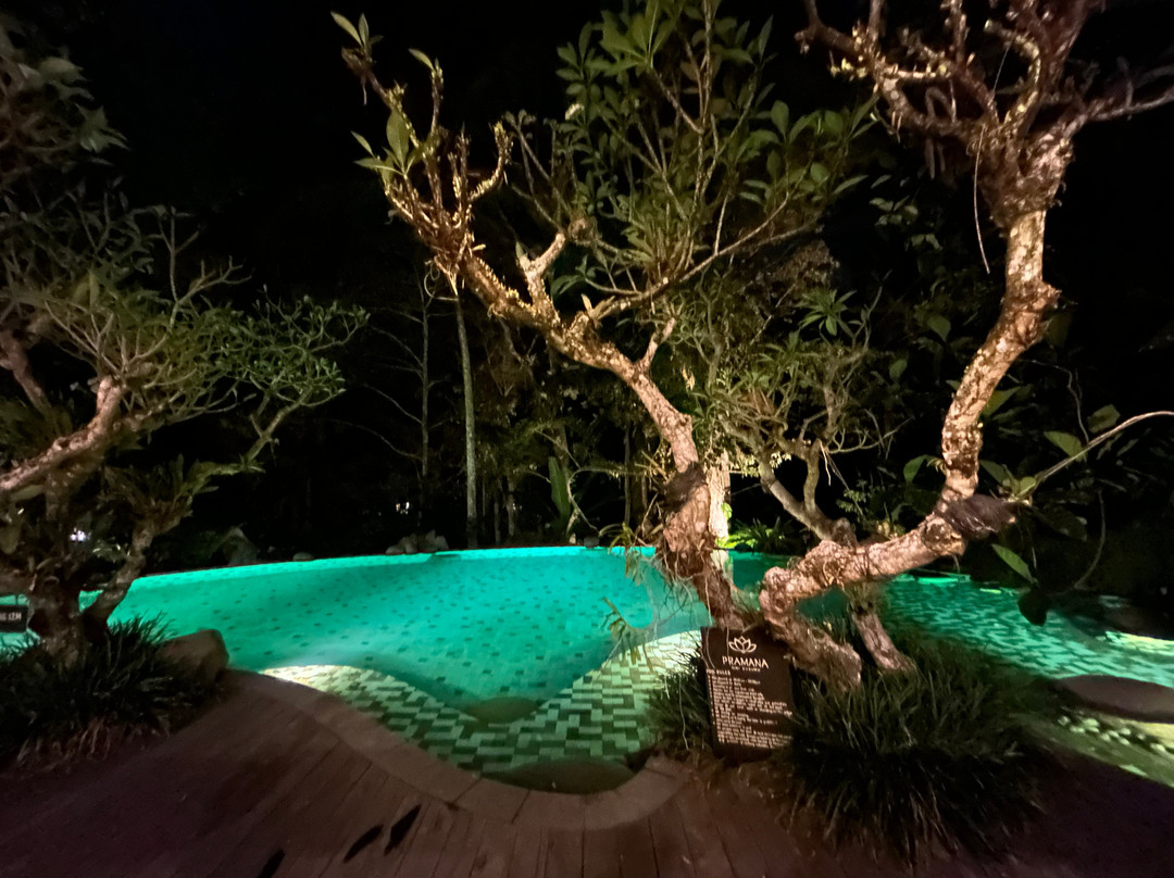 Jack Fruit Restaurant
