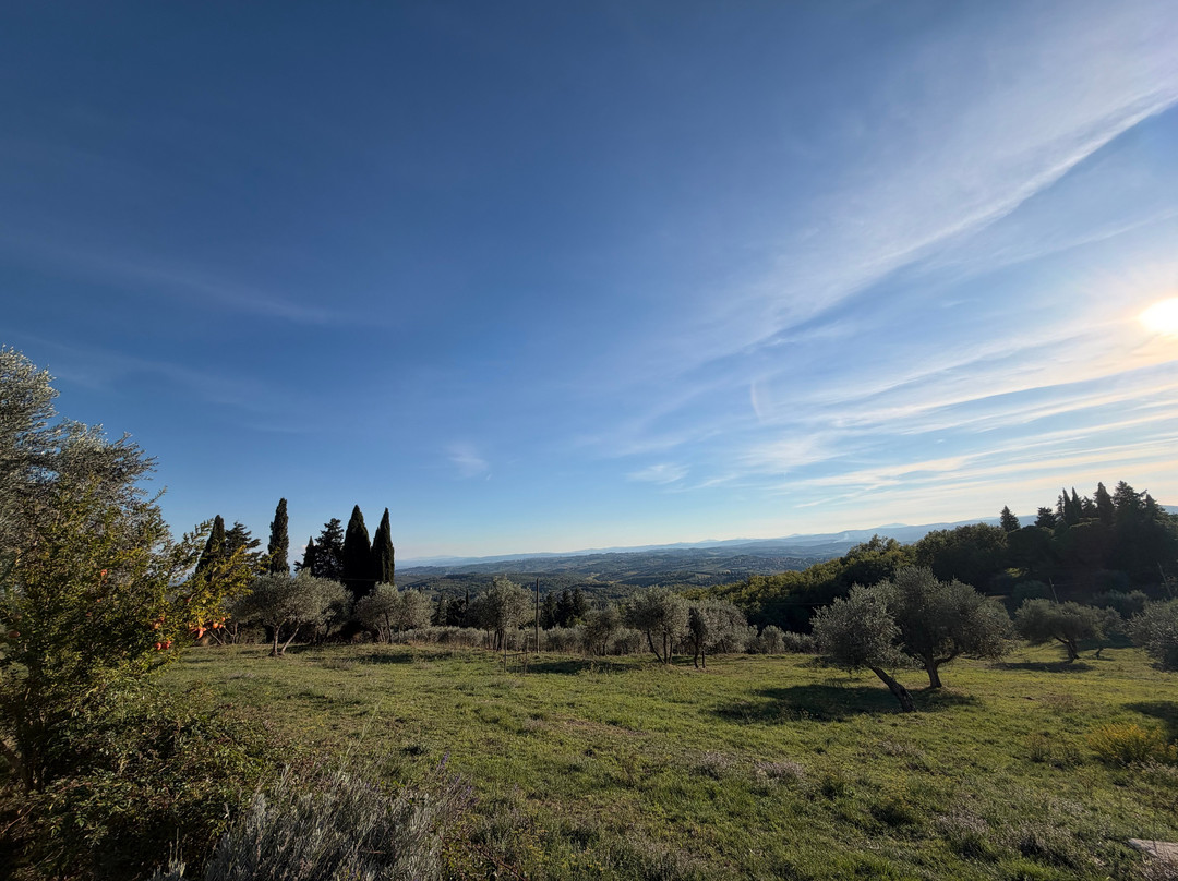 Bindi Sergardi Estates & Vineyards-Vagliagli必去景点