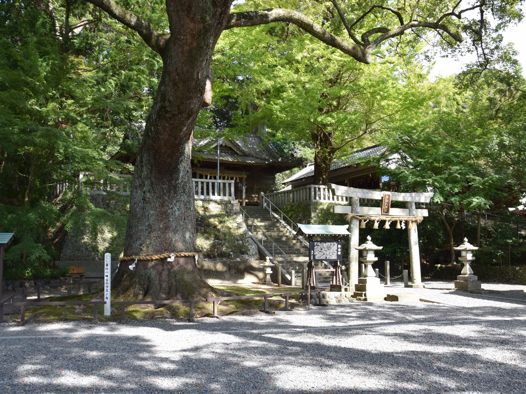 Kotonomama Hachimangu-挂川市必去景点
