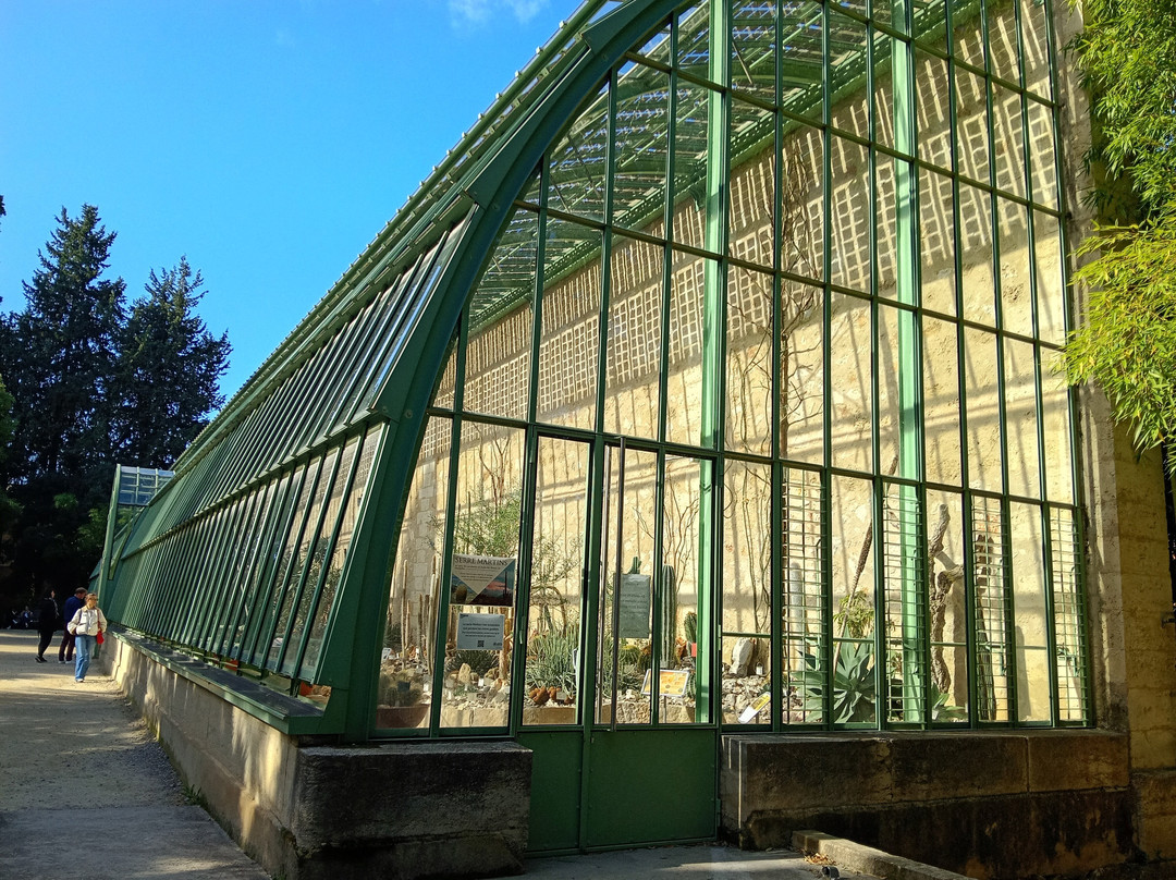 Jardin des Plantes de Montpellier-蒙彼利埃必去景点