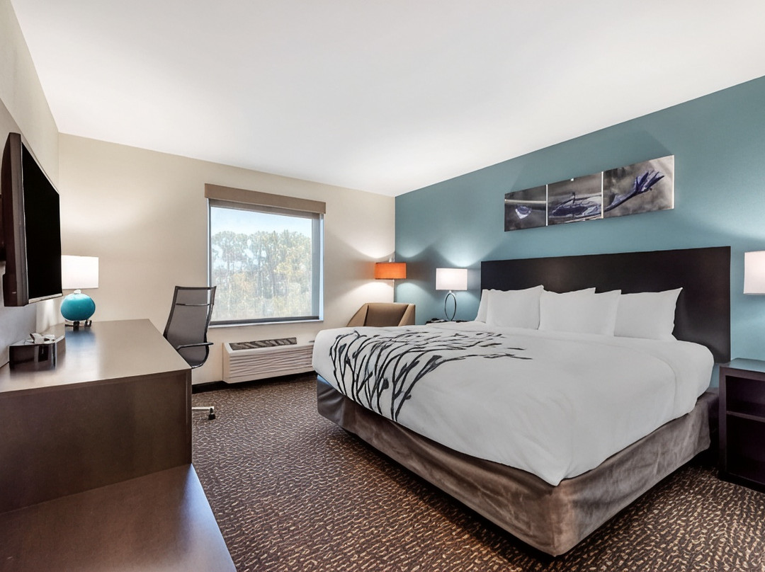 Montgomery酒店住宿-Sleep Inn Newberry - Crane