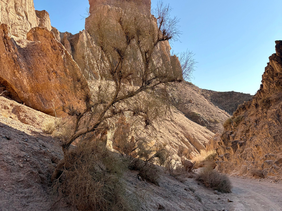 Charyn National Park-Almaty Region必去景点