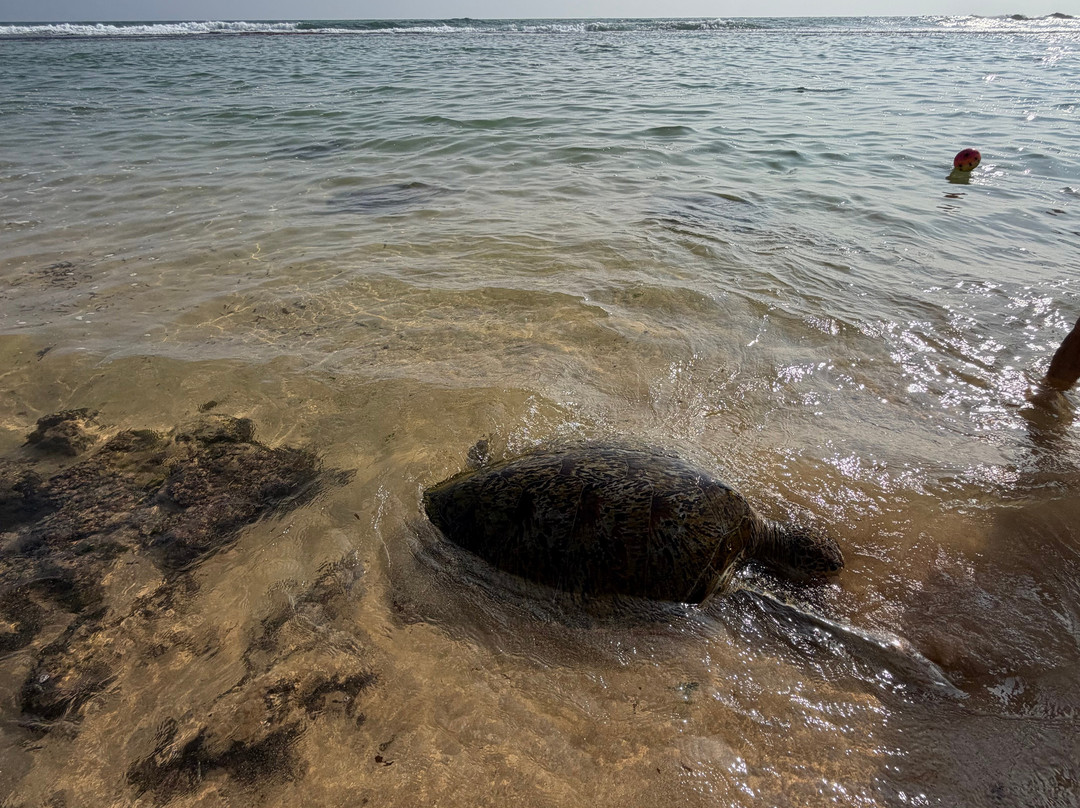Indunil tours Sri Lanka-Deniyaya必去景点