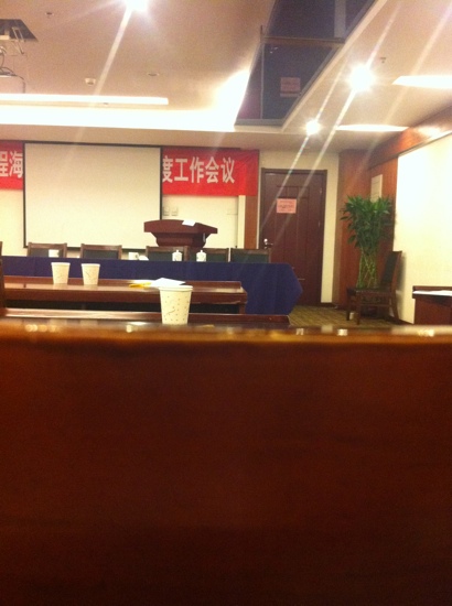 燕达国宾大酒店-客卧