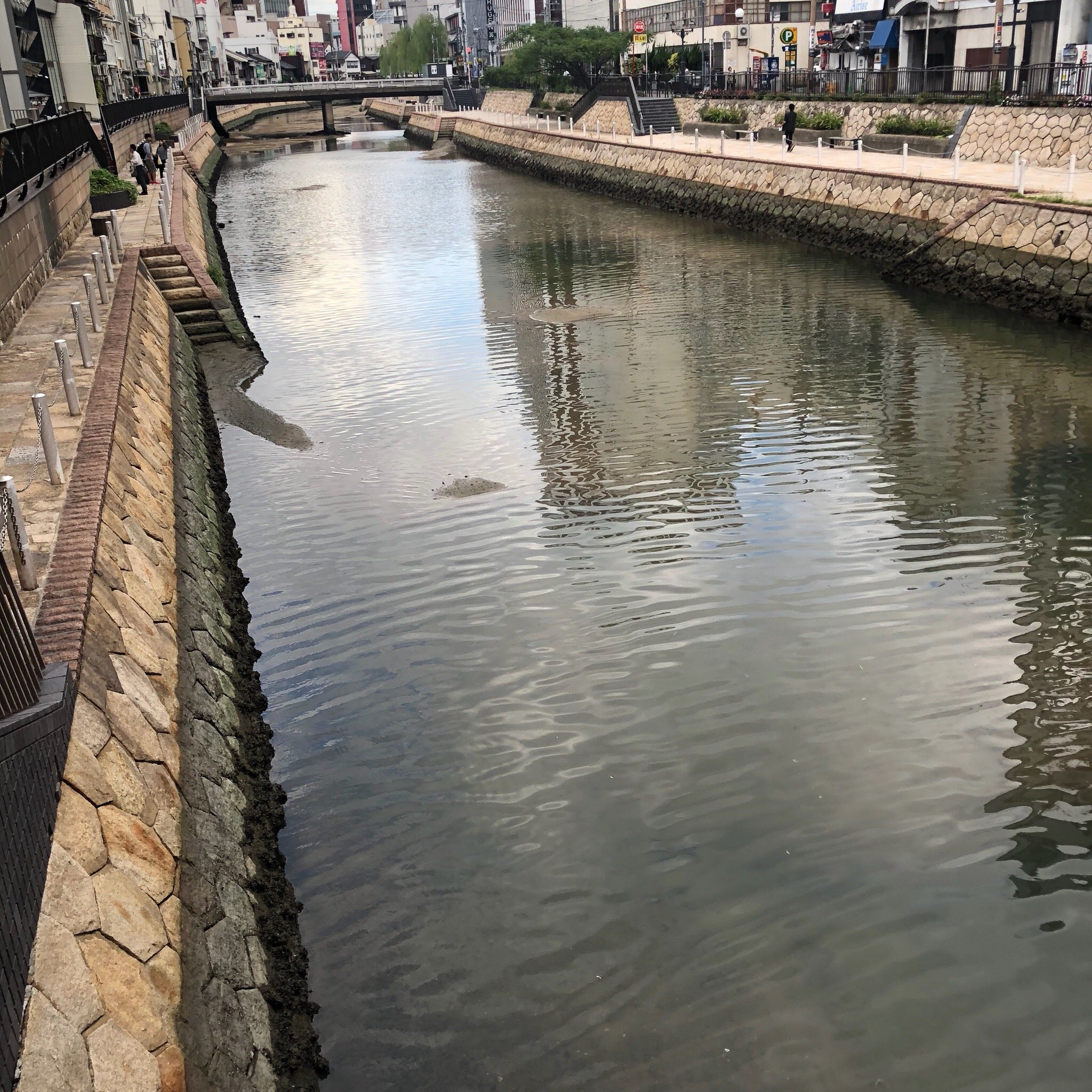 博多中洲华盛顿酒店-官方