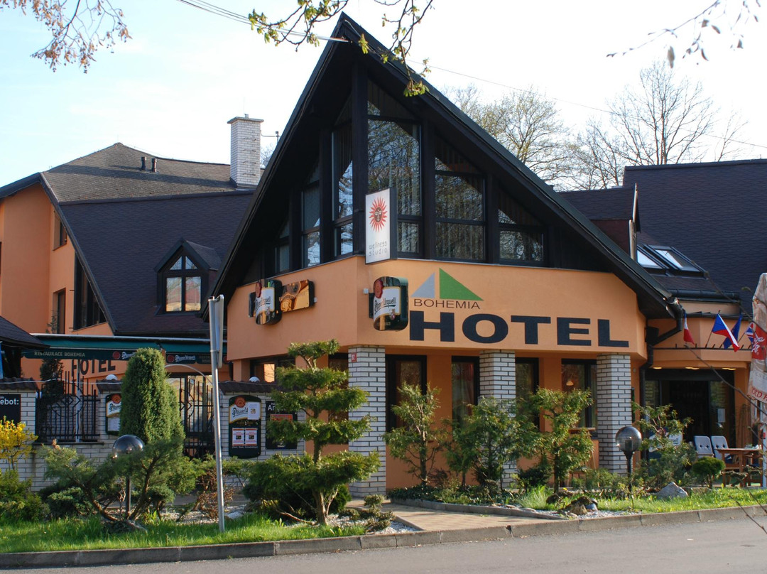 弗提科维泉市酒店住宿-Hotel Bohemia