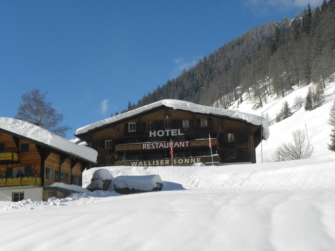 Munster酒店住宿-Hotel Restaurant Walliser Sonne