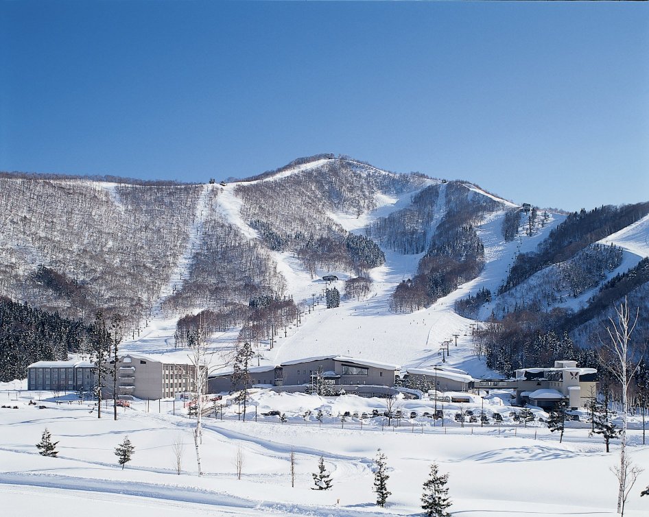 Hotel Tangram-官方