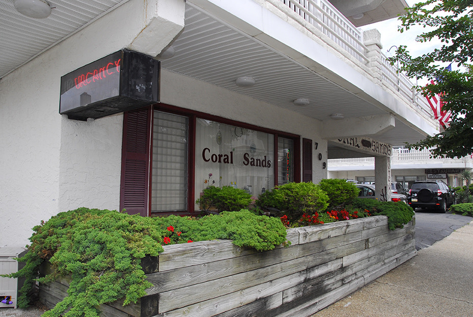 Coral Sands