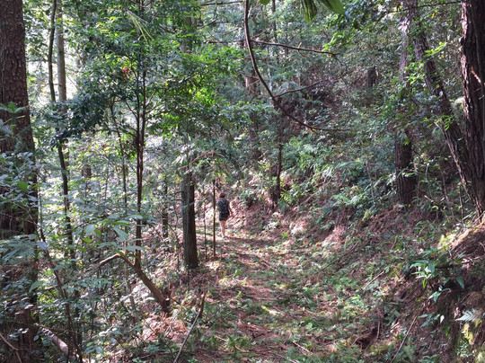 皇佑笔保护区-蕉岭县必去景点