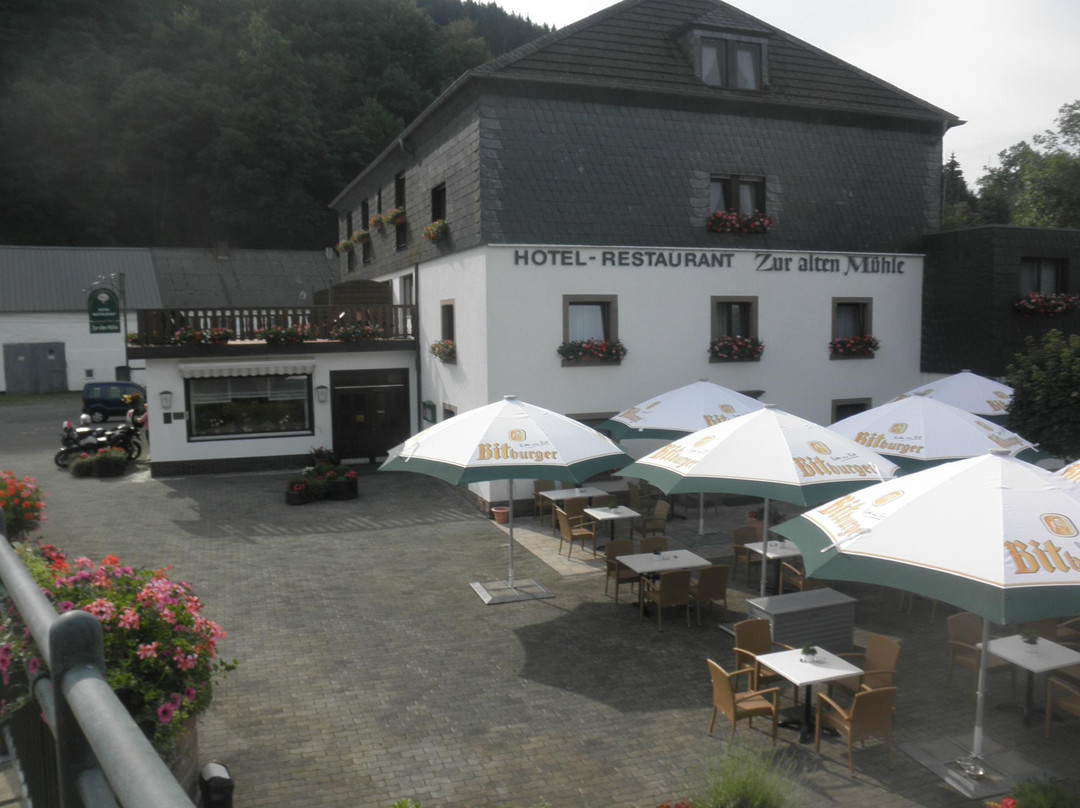 Weiswampach酒店住宿-Zur Alten Muhle