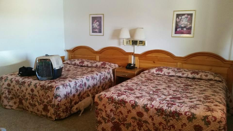 Porcupine酒店住宿-Lakota Prairie Ranch Resort