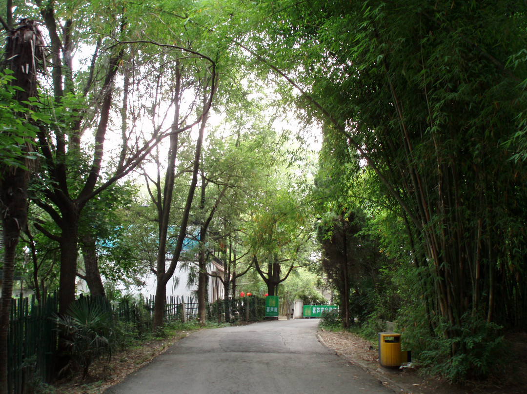 兴元湖公园-汉中市必去景点