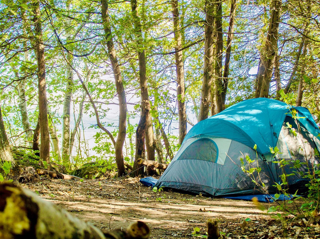 Camping de la Pointe景点图片