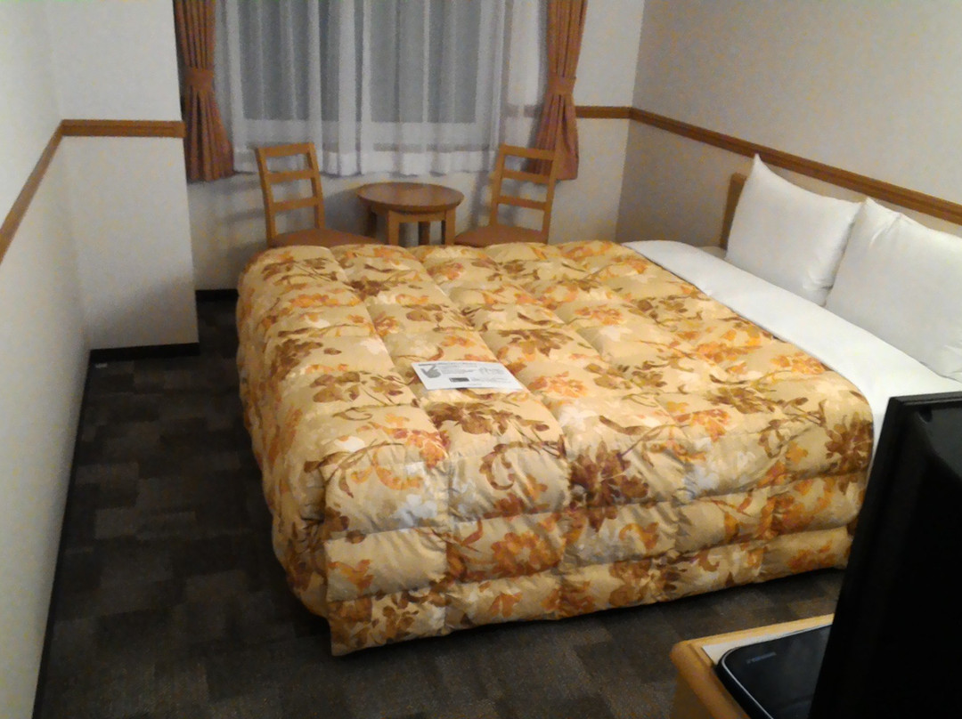 Toyoko Inn Satsuma Sendai-eki Higashi-guchi主图