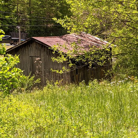 Dawkins Line Rail Trail-Swamp Branch必去景点