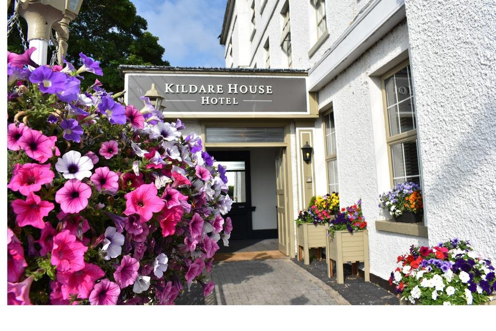 基尔代尔郡酒店住宿-Kildare House Hotel