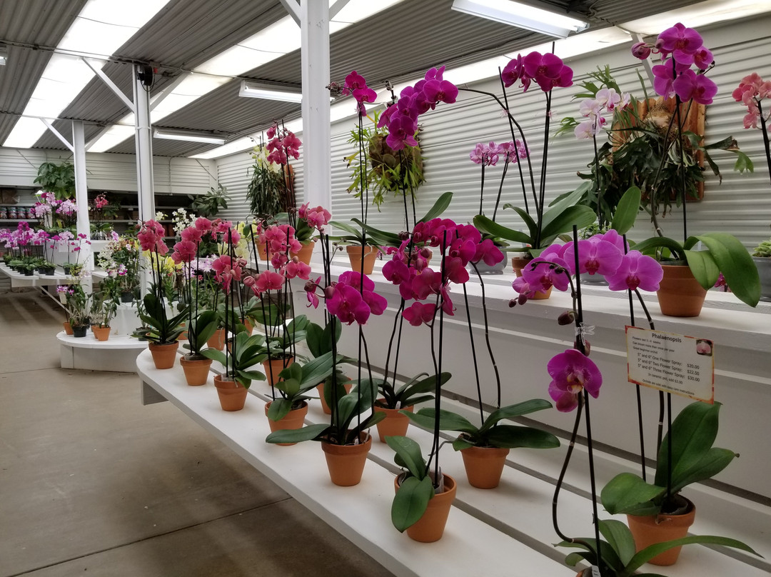 Landers旅游景点-Gubler Orchids