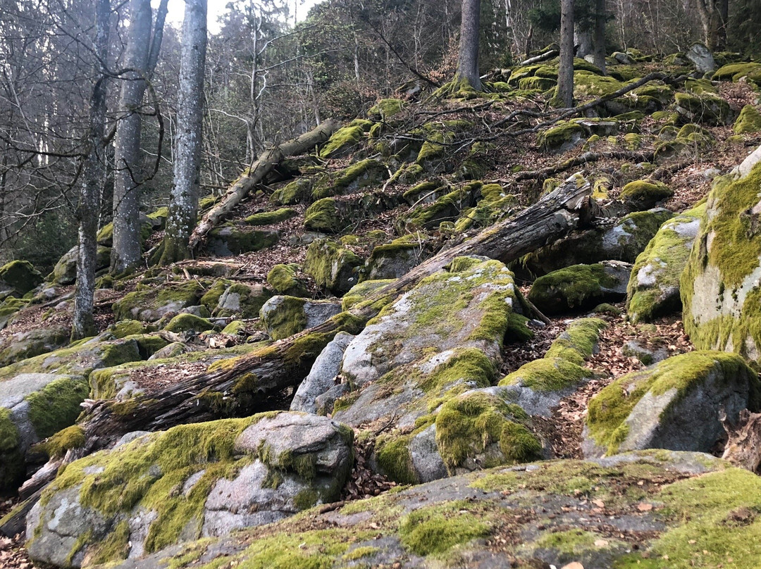 Schwarzwihrberg Burgruine / Schwarzberg Burg景点图片