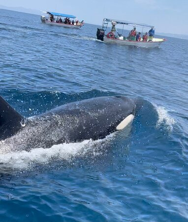 Baja Azul-拉巴斯必去景点
