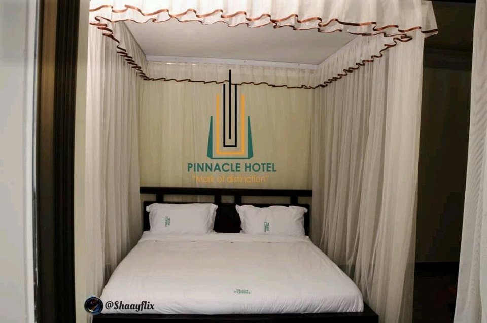 Pinnacle Hotel-官方