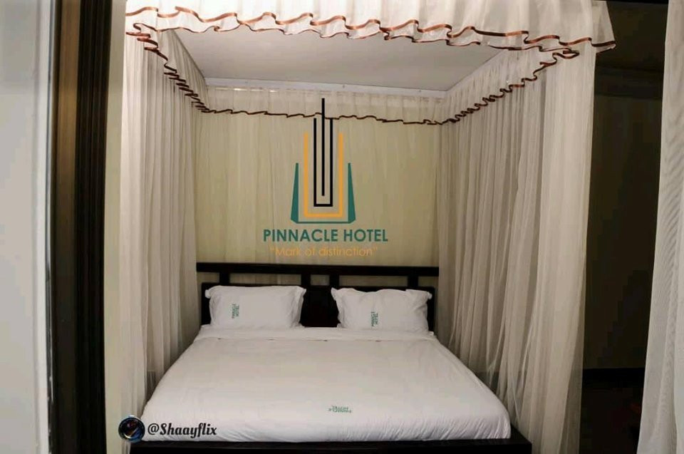 Pinnacle Hotel主图