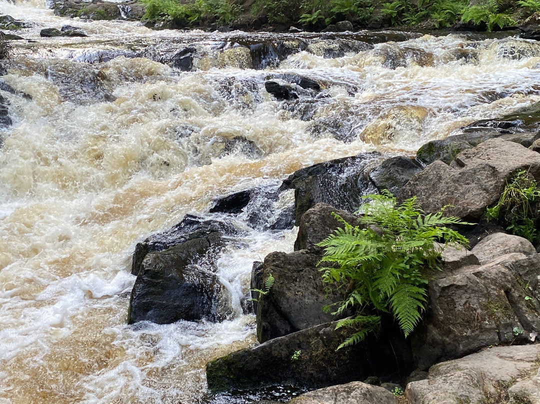 Waterfall Valley Wildlife Park景点图片