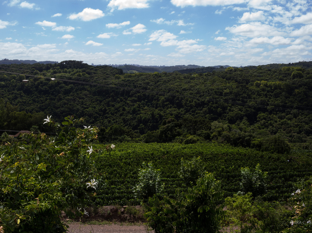 Capela Santo Isidoro-Monte Belo do Sul必去景点
