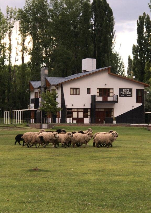 Risco Plateado Hotel主图