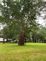 哈波瑞纳查雅乡村酒店主图